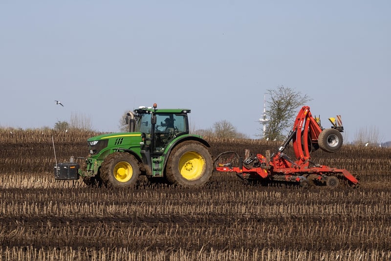 Fertilizing Guidelines