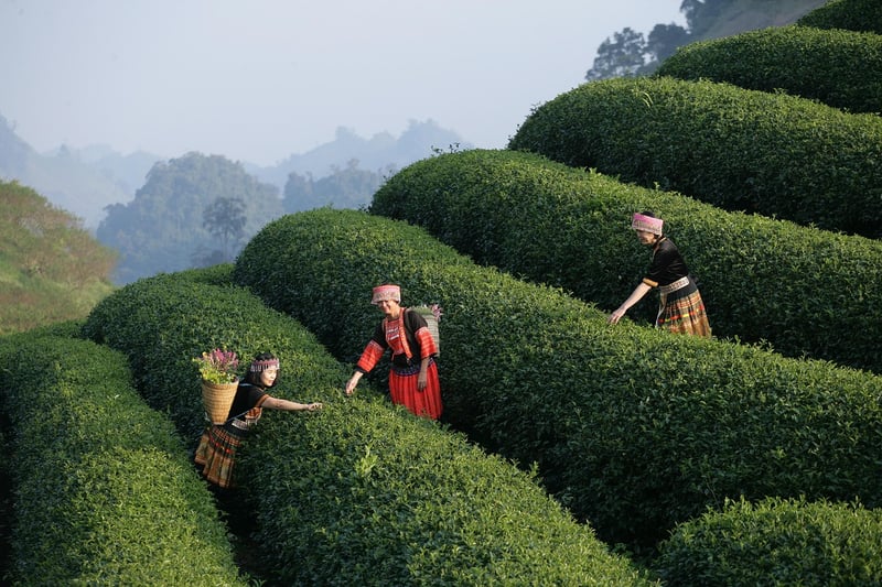 Garden Tours