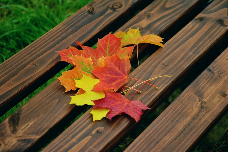 Fall Garden Care