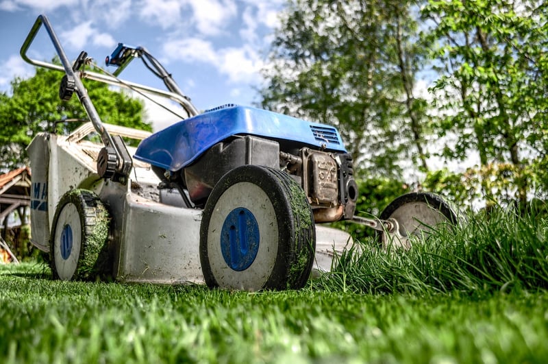 Spring Garden Care