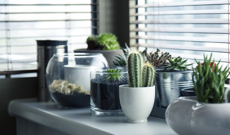 Creative Planters